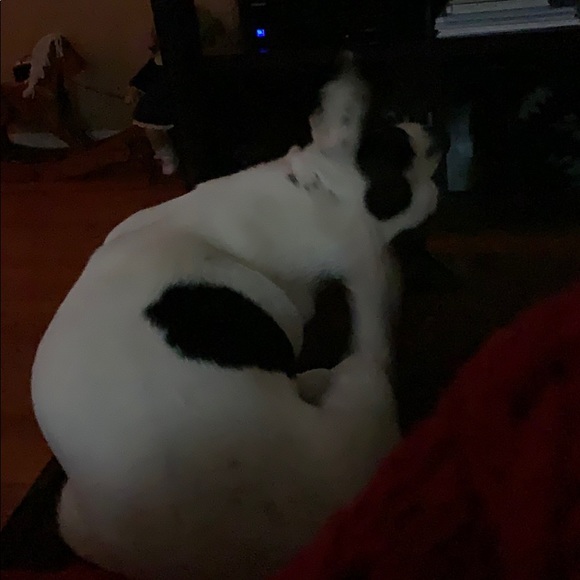 Meet your Posher, Chris - Picture 1 of 1